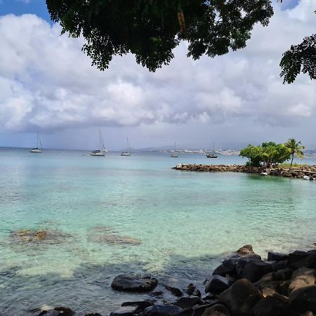 Studio Kasanaco Avec Vue La Baie De Fort De France 莱特鲁瓦西莱 外观 照片