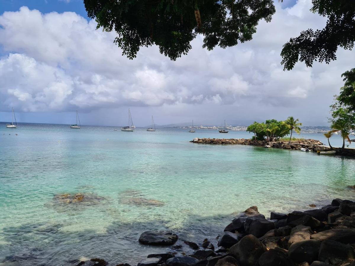 Studio Kasanaco Avec Vue La Baie De Fort De France 莱特鲁瓦西莱 外观 照片